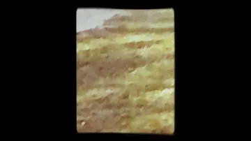 Летающий единорог...