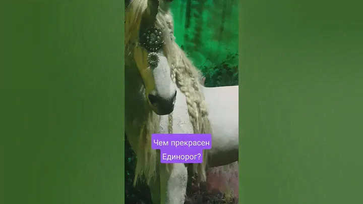 Кто такой единорог? #единороги