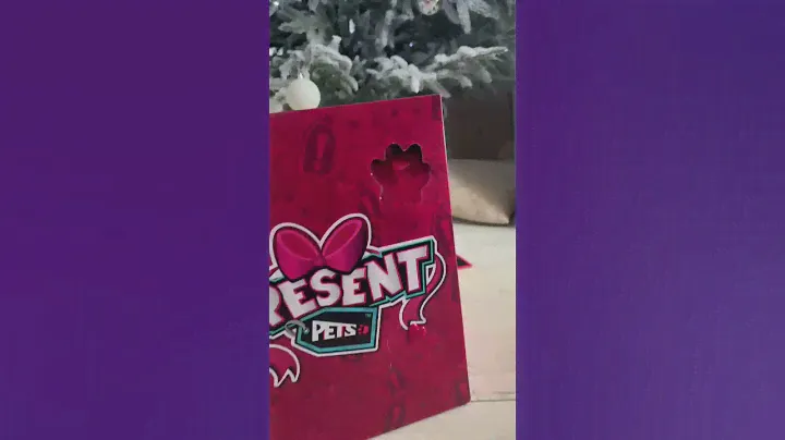 Present pet’s секретный подарок 🐶